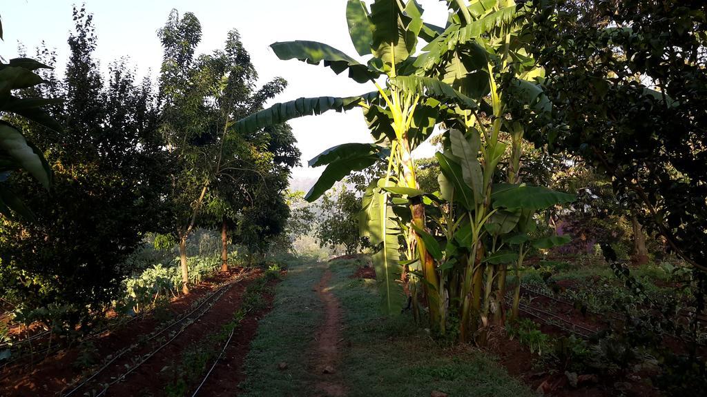 अपार्टमेंट Karen Little Paradise