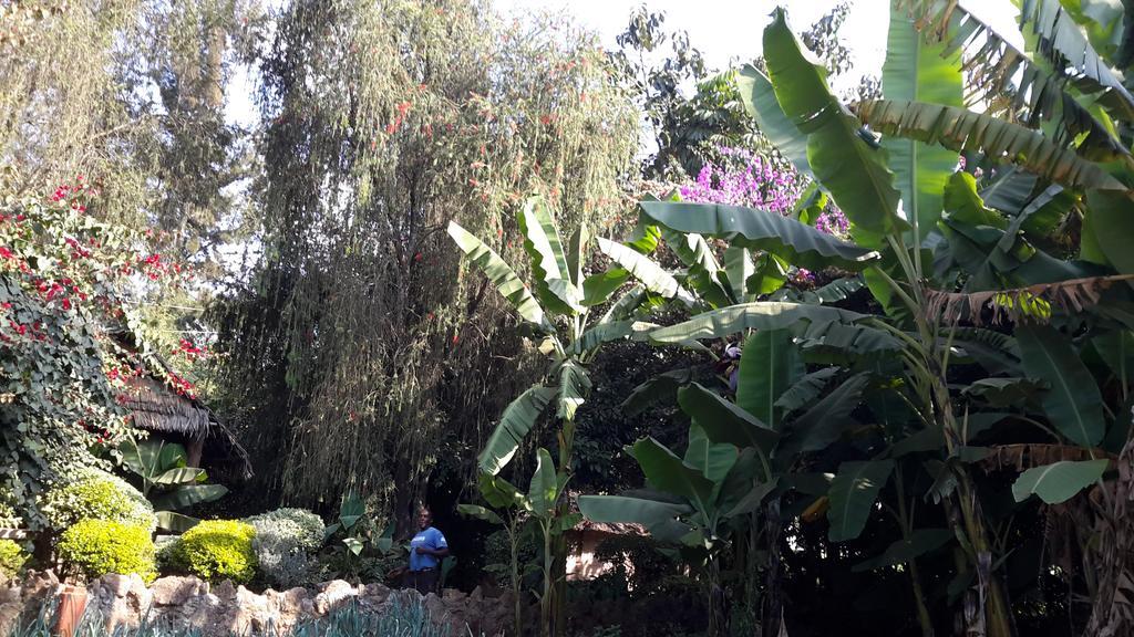 Karen Little Paradise Nairobi