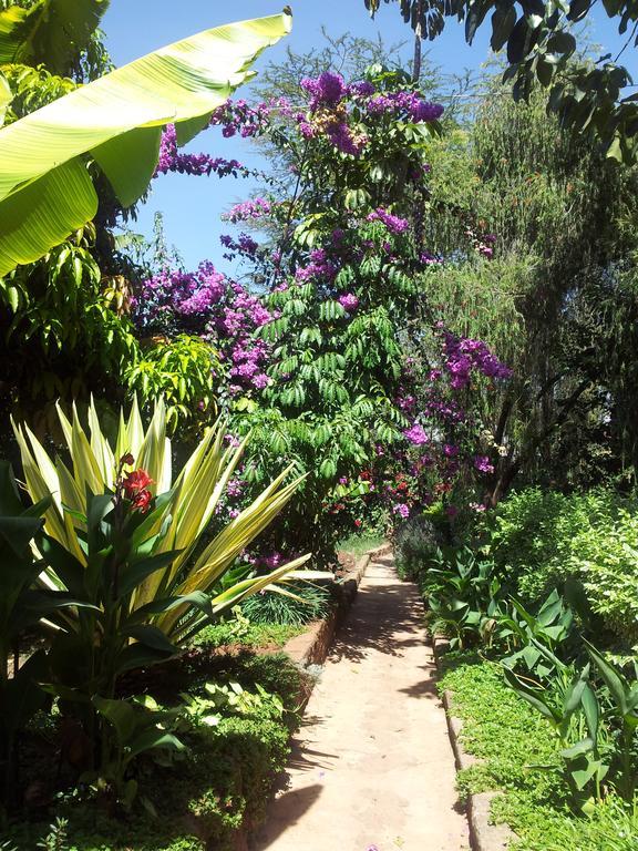 अपार्टमेंट Karen Little Paradise