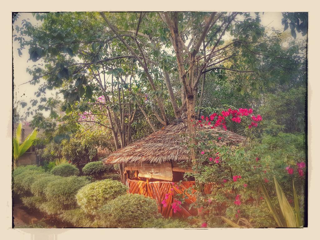 Karen Little Paradise अपार्टमेंट Nairobi